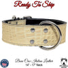 *2" Wide Bone Croc Leather Dog Collar (14"-17") Neck