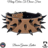 X24 - 3" Wide Leather Dog Collar with Dragon Claw Spikes