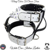 Y14 - Leather Dog Harness Spikes & Gems