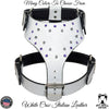 Y14 - Leather Dog Harness Spikes & Gems