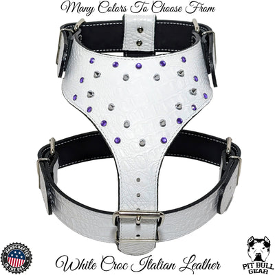 Y14 - Leather Dog Harness Spikes & Gems