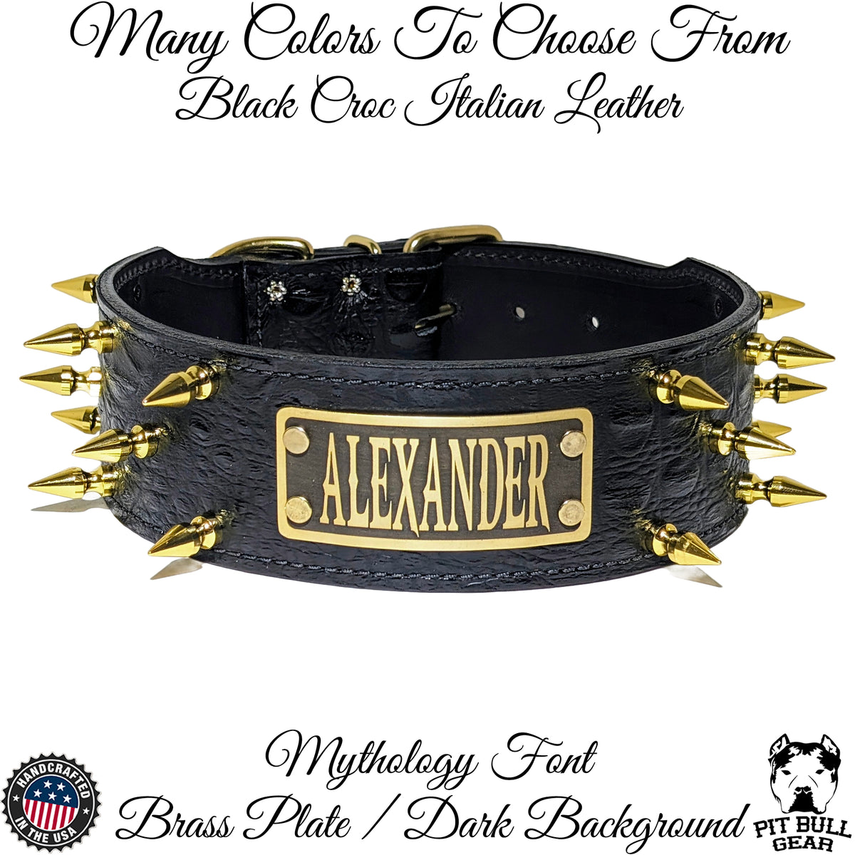 NJ5 - 2.5&quot; Wide Personalized Spiked Collar