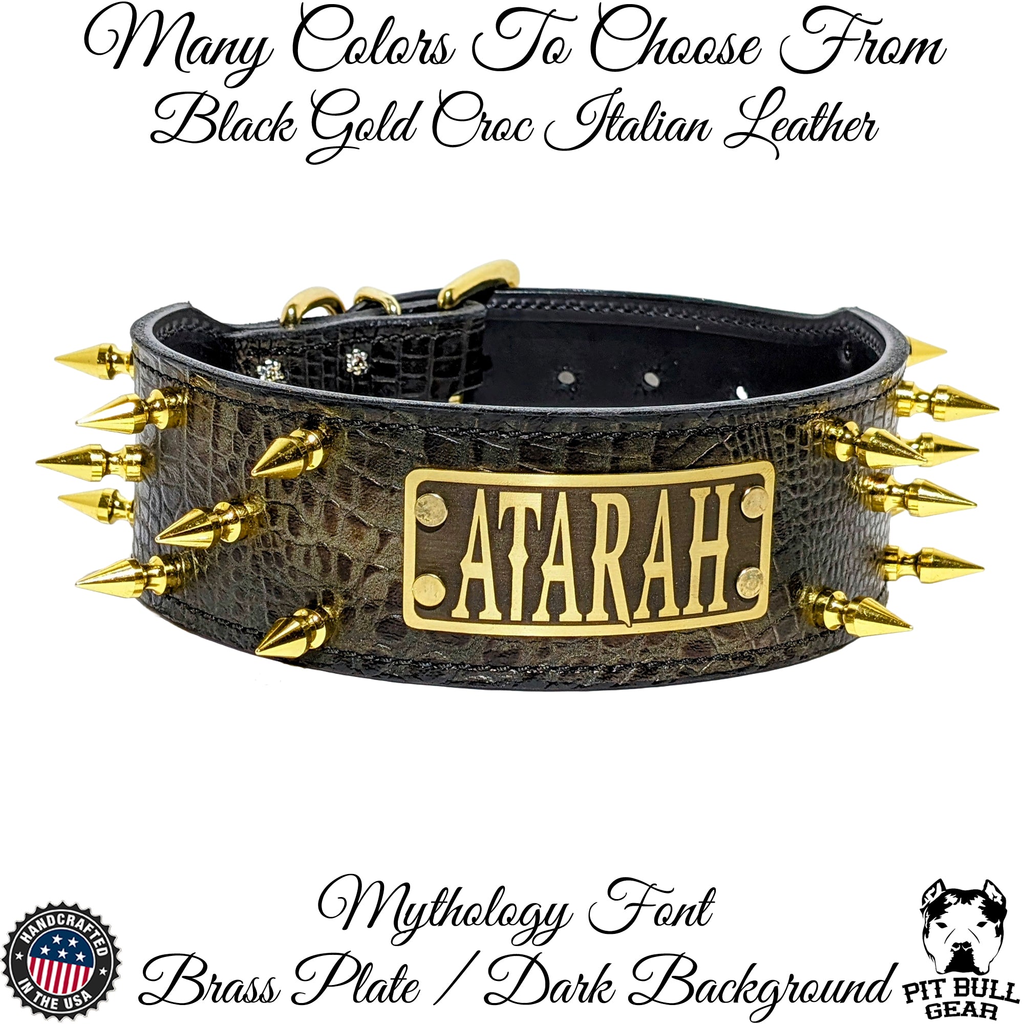 NJ5 - 2.5" Wide Personalized Spiked Collar