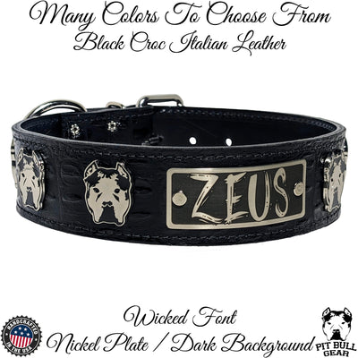 W20 - 2" Wide Personalized Leather Dog Collar with Bully Conchos