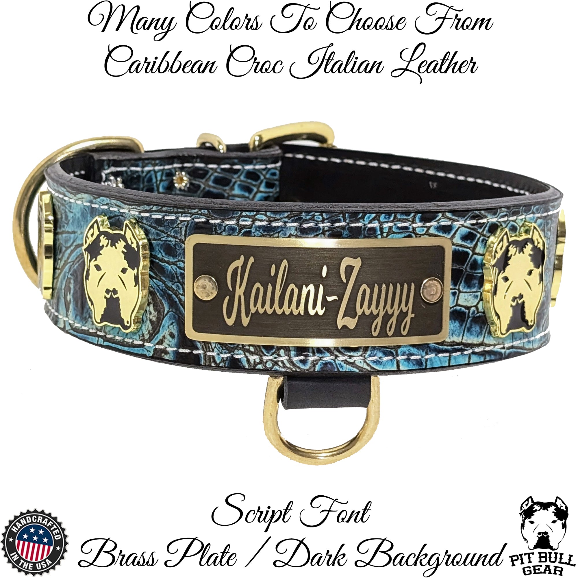 W20 - Collar de cuero personalizado para perros de 2" de ancho con conchos Bully