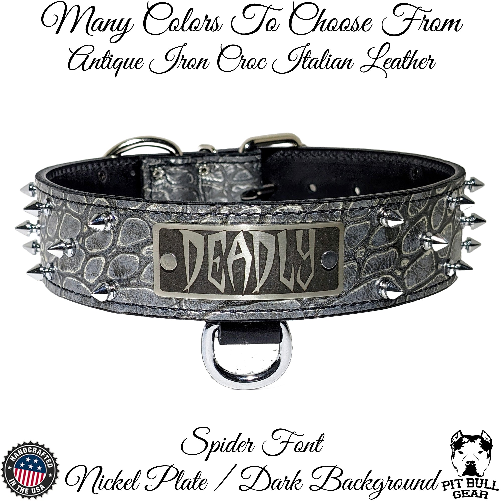 W46 - 2" Spiked Leather Dog Collar with Personalized Name Plate