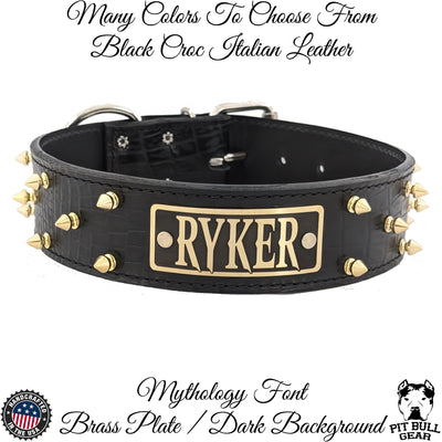 W46 - 2" Spiked Leather Dog Collar with Personalized Name Plate