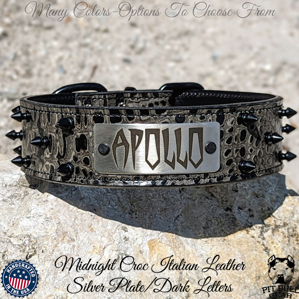 W46 - 2" Spiked Leather Dog Collar with Personalized Name Plate