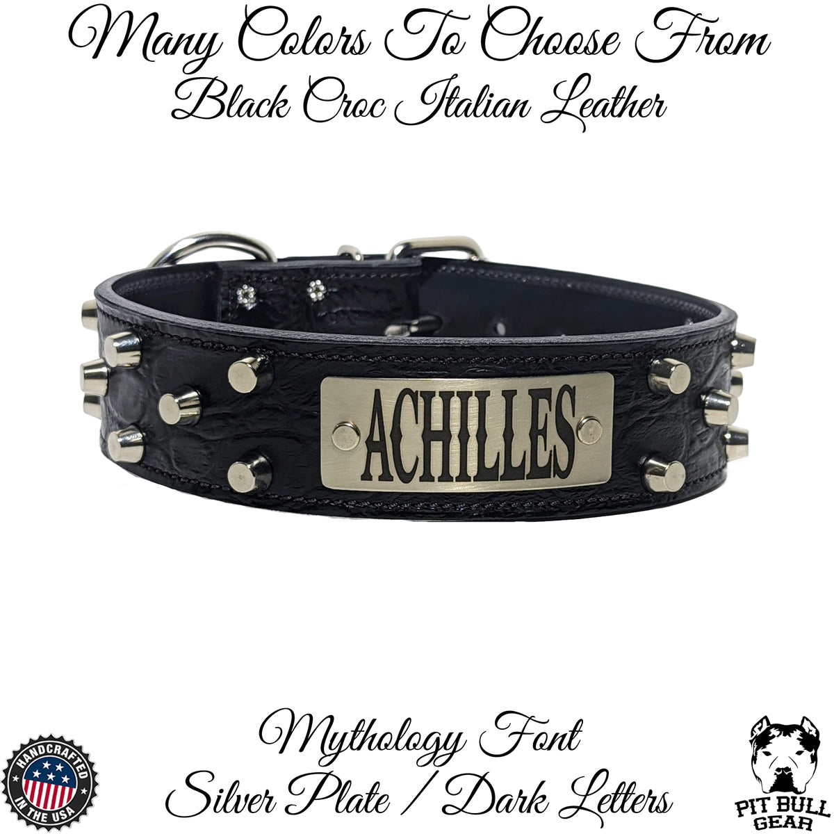 WN4 - 2&quot; Wide Leather Dog Collar with Bucket Studs and Name Plate