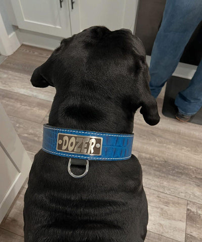 N15 - 2" Wide Leather Dog Collar with Name Plate