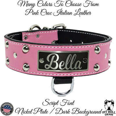 N12 - 2" Wide Leather Studded Dog Collar with Name Plate