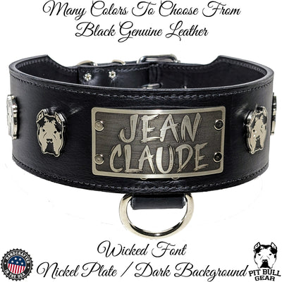 NX7 - 3" Wide Leather Personalized Bully Dog Collar