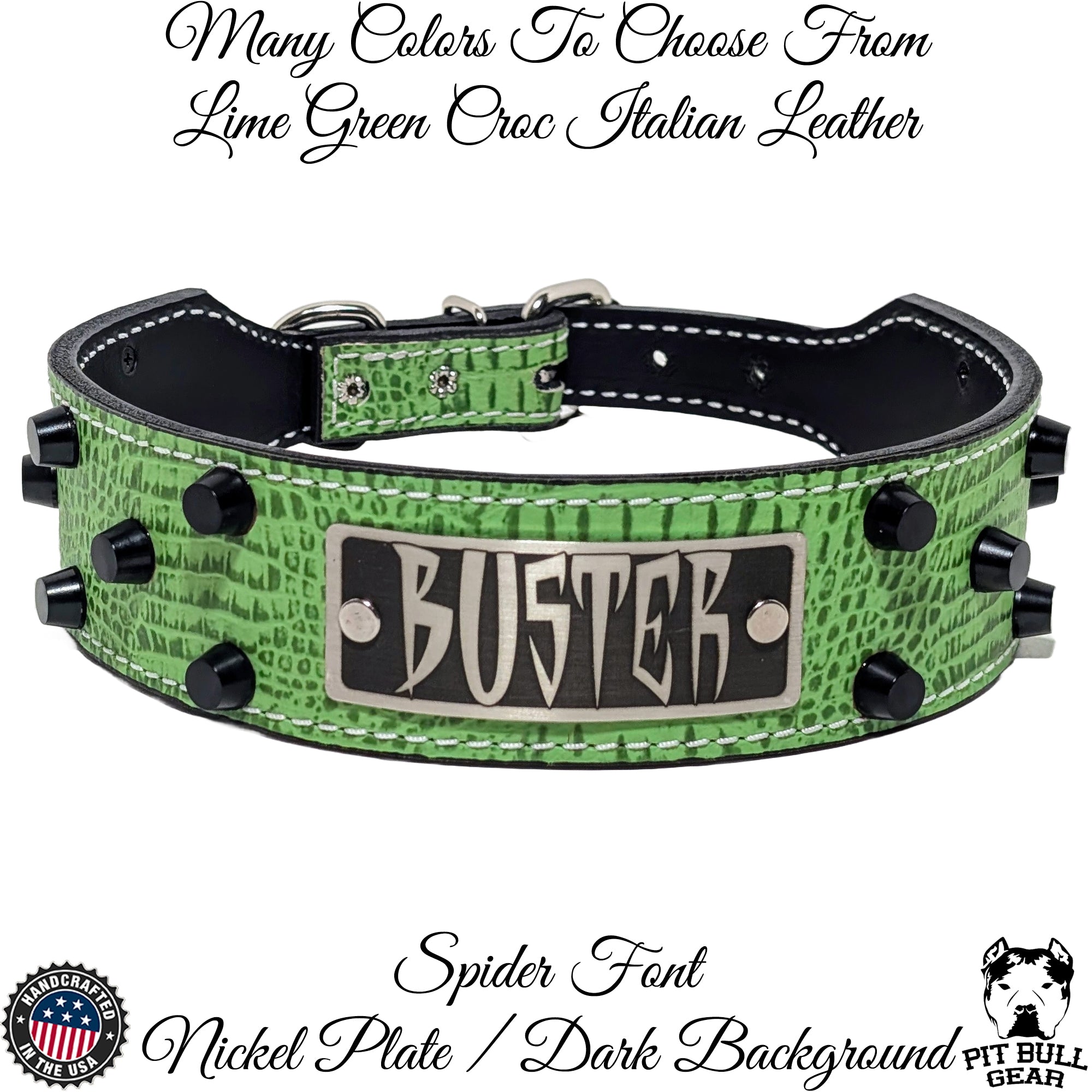 TW32 - 2" Tapered Leather Collar with Studs and Name Plate