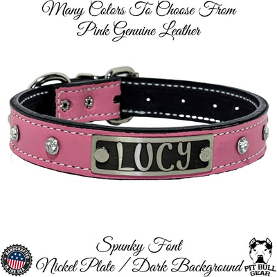 U13 - 1" Wide Leather Dog Collar, Name Plate, Gems