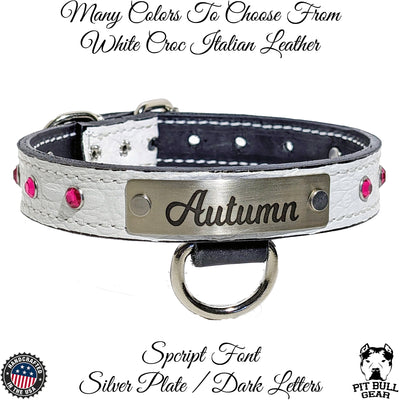 U13 - 1" Wide Personalized Leather Dog Collar with Gems