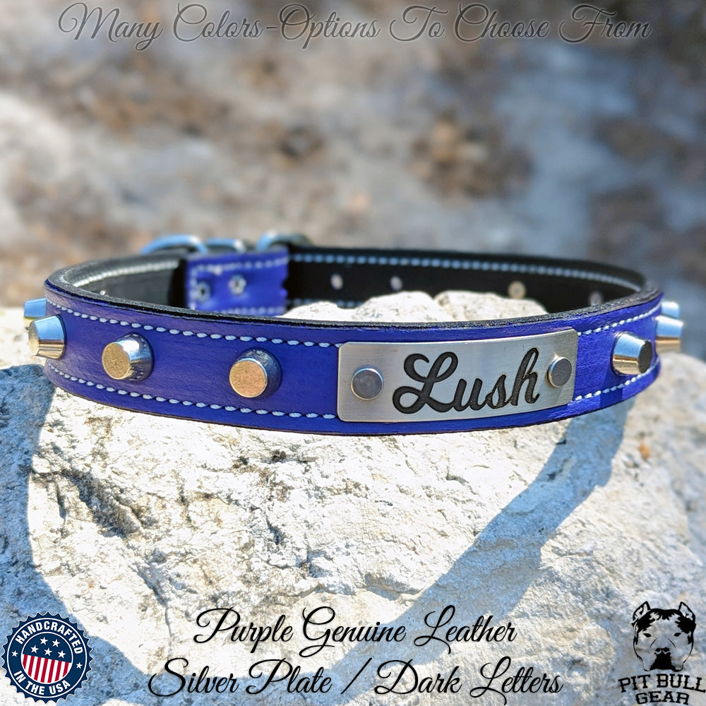 U1 - 1" Wide Leather Dog Collar with Studs and Name Plate