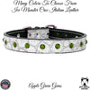 U3 - 1" Leather Dog Collar with Gems