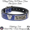 V30 - 1.5" Wide Name Plate Dragons & Gems Leather Dog Collar