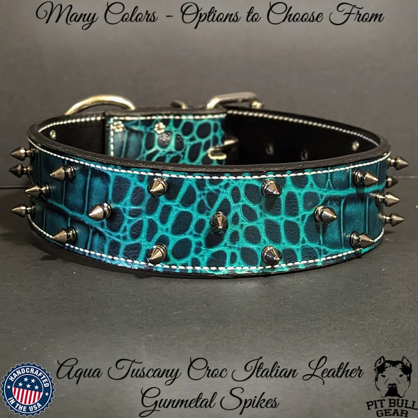 Teal on sale leather dog