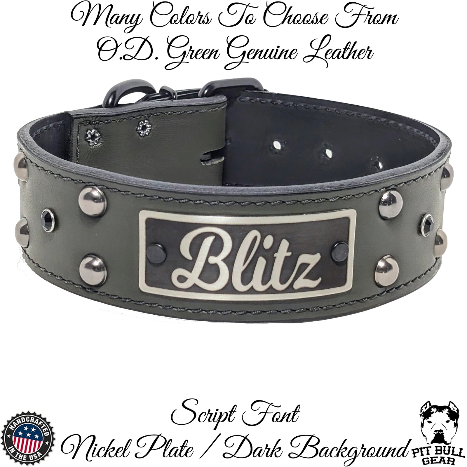 W43 - 2" Wide Leather Dog Collar with Name Plate Studs & Gems