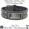 W43 - 2" Wide Leather Dog Collar with Name Plate Studs & Gems