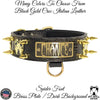 W53 - 2" Personalized Bully Spiked Leather Dog Collar