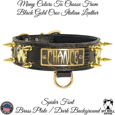 W53 - 2" Personalized Bully Spiked Leather Dog Collar