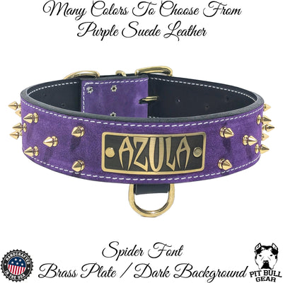 W46 - 2" Spiked Leather Dog Collar with Personalized Name Plate