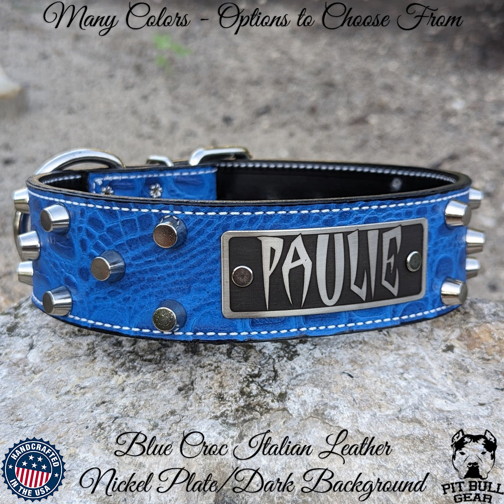 WN4 - 2" Wide Leather Dog Collar with Bucket Studs and Name Plate