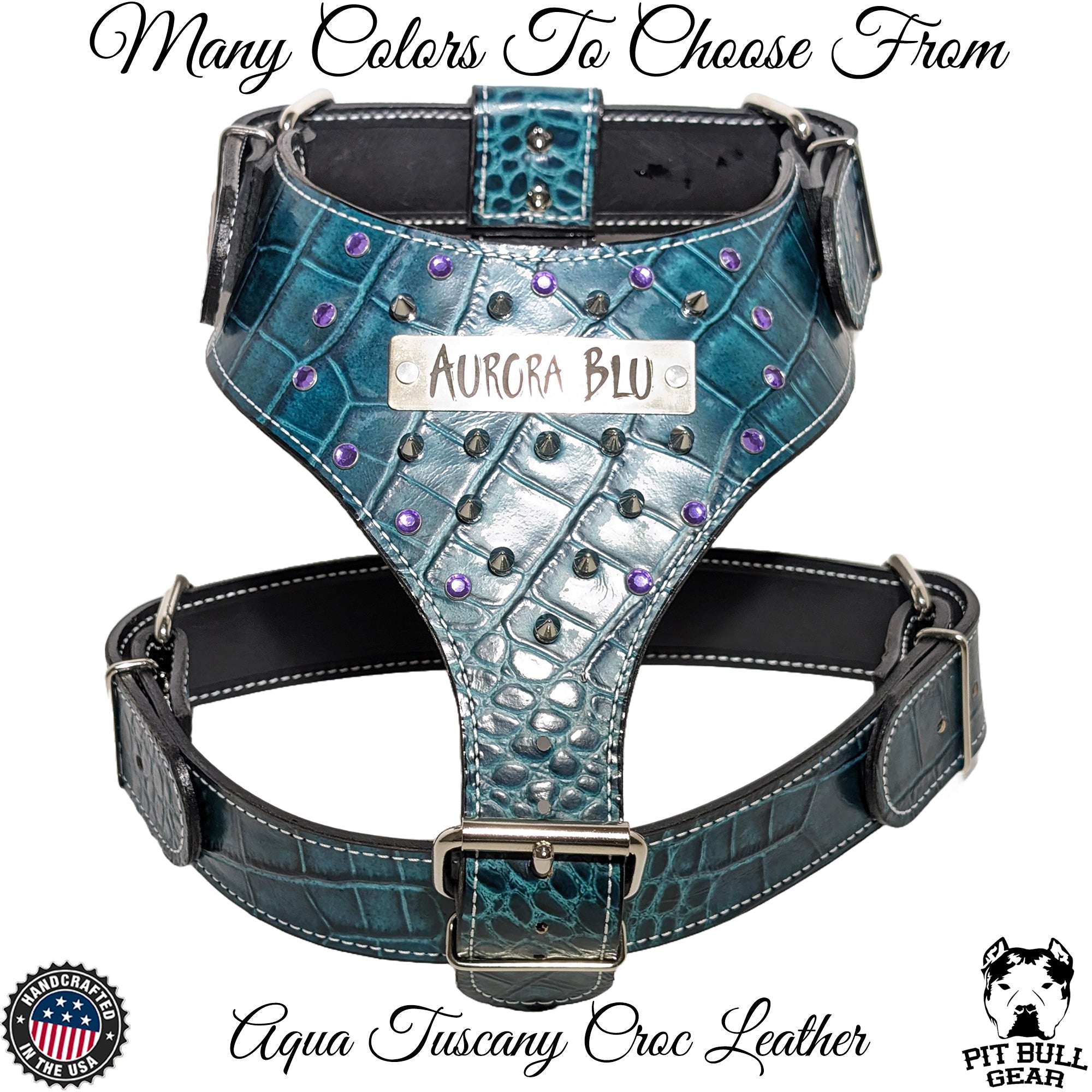 Dog harness 2025 with name plate