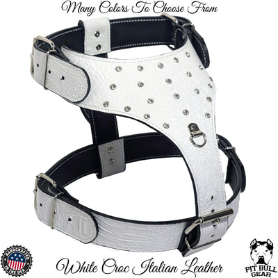 Y24 - Leather Dog Harness with Gems