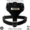 NH4 - Personalized Leather Dog Harness