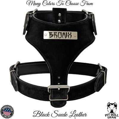 NH4 - Personalized Leather Dog Harness