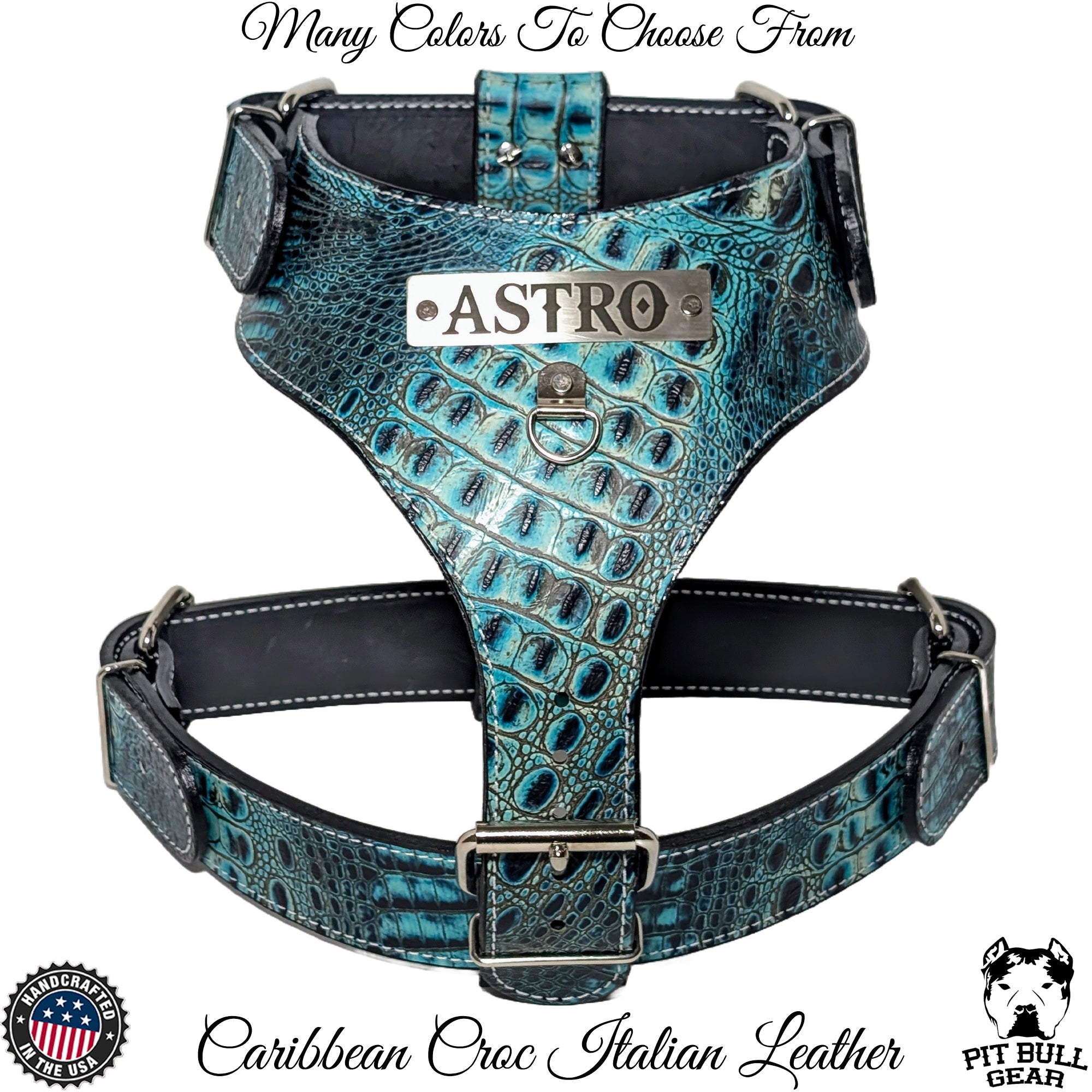 Custom bulldog harness hotsell