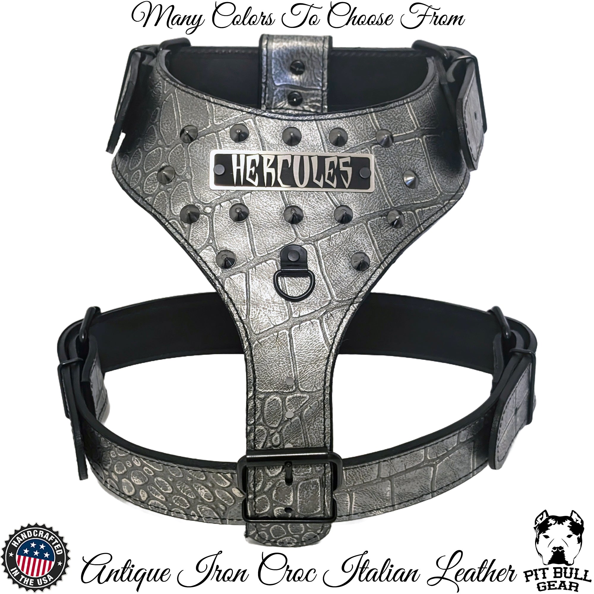 NH10 - Leather Dog Harness with Name Plate and Cone Studs