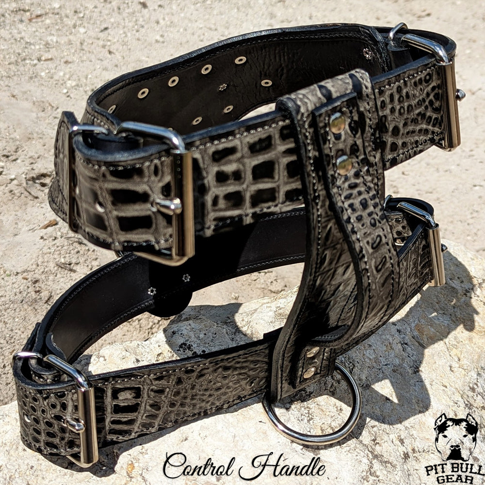 UPGRADE NAME Personalize Your Prunkhund Collar Harness or 