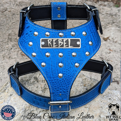 Personalized Claw Spiked Dog Harness