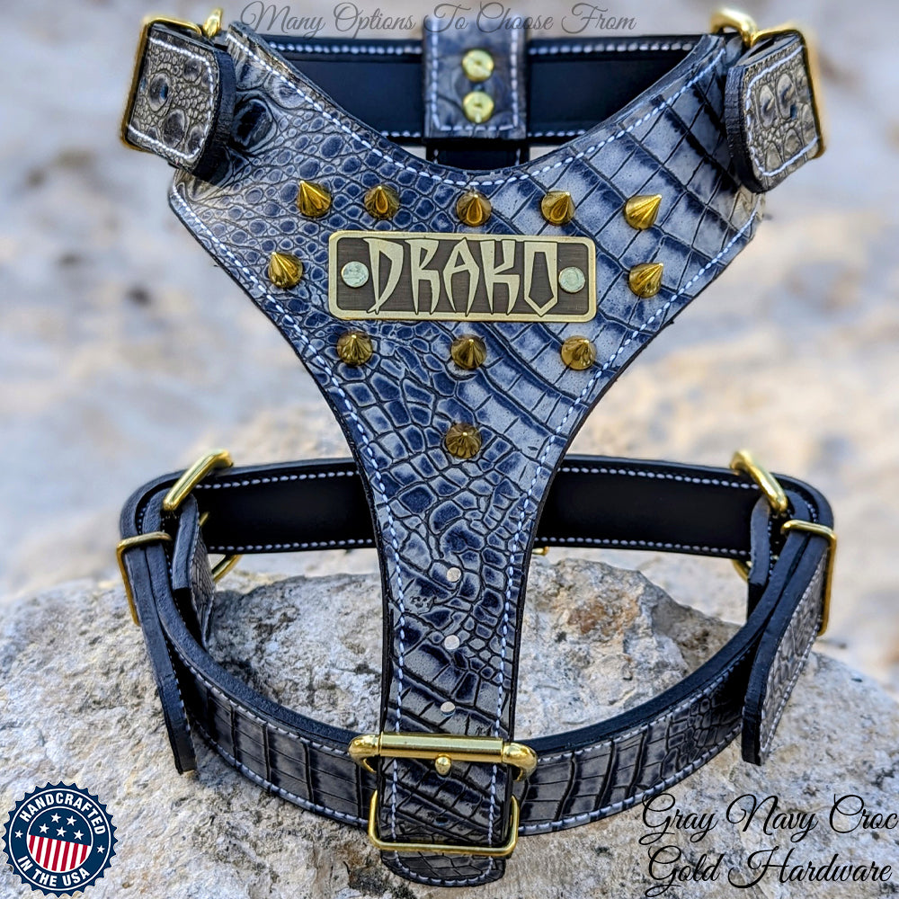 NH8 - Leather Dog Harness with Name Plate & Cone Spikes