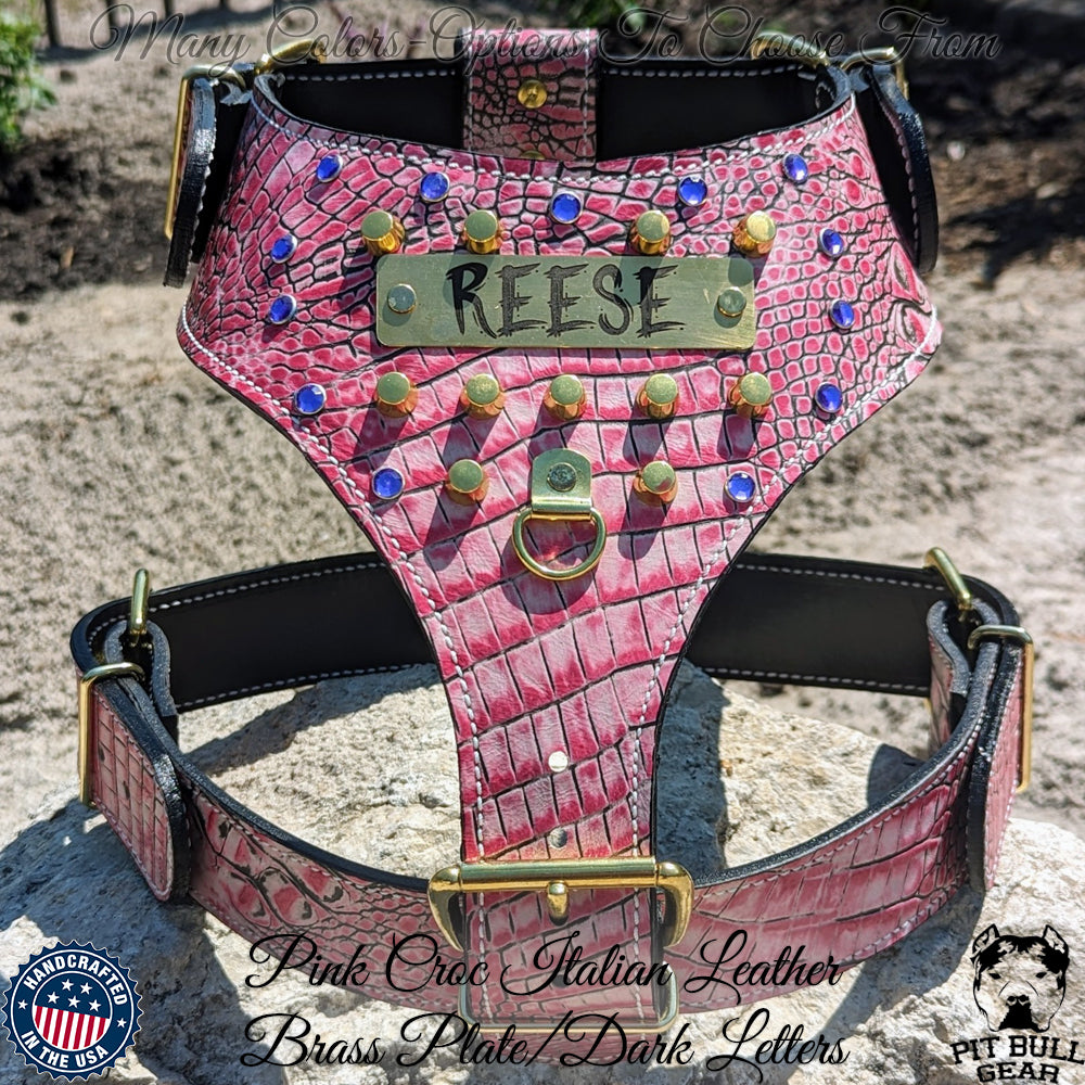 NH9 - Name Plate Dog Harness w/Gems &amp; Bucket Studs