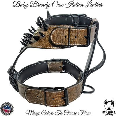 Y04 - Spiked Leather Dog harness with Name Plate