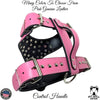 Y20 - Studded Leather Dog Harness