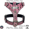 YN62 - Spiked Leather Dog Harness Personalized Name Plate