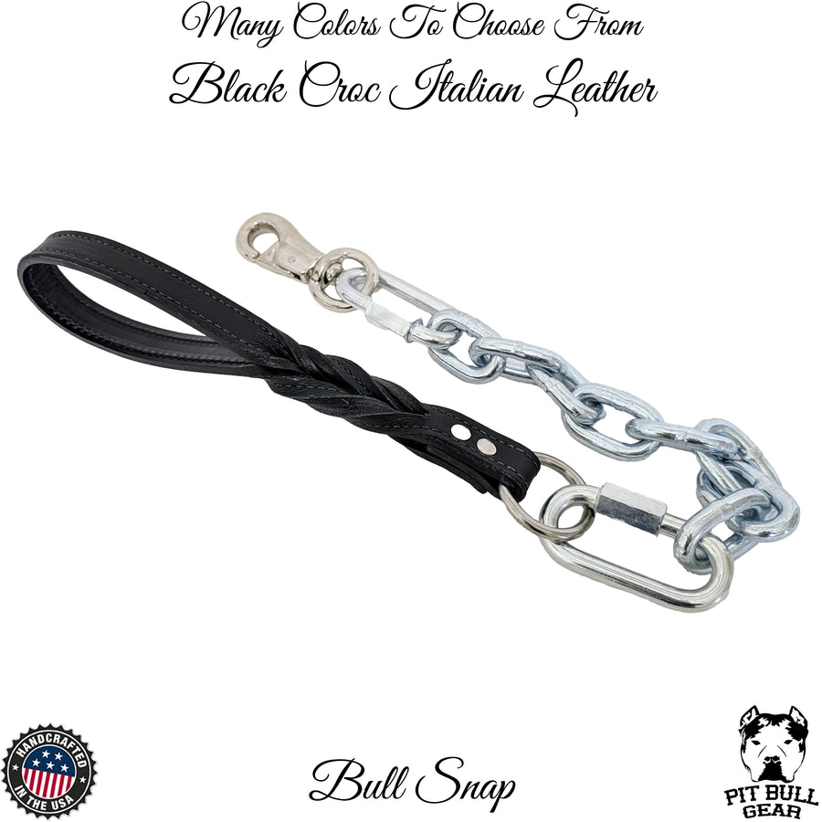 Dog chains leash best sale