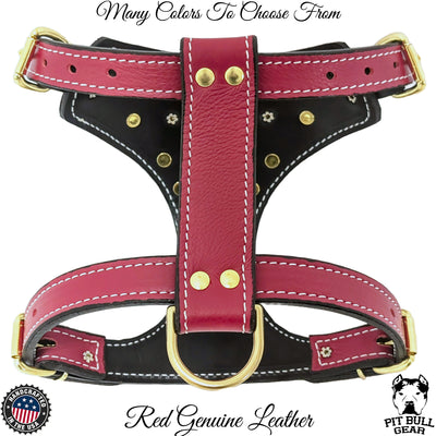 FBH5 - French Bulldog Personalized Cone Studded Leather Harness