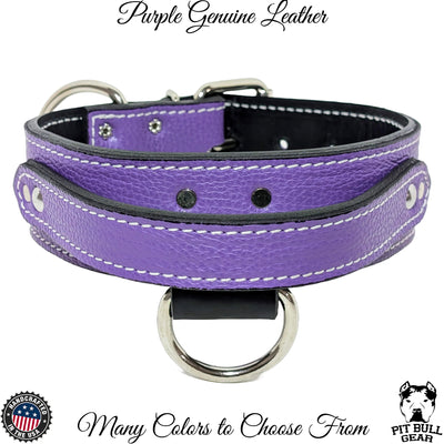 AGT1 - 2" Wide Leather Agitation Dog Collar with Handle