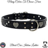 V7 - 1.5" Wide Hearts & Gems Leather Collar