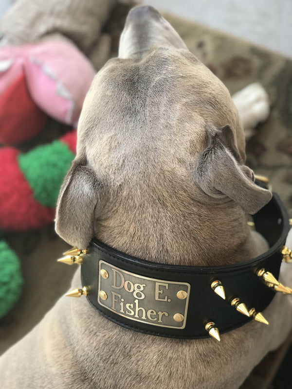 NX2 - Collar para perros de cuero con pinchos personalizado de 3" de ancho