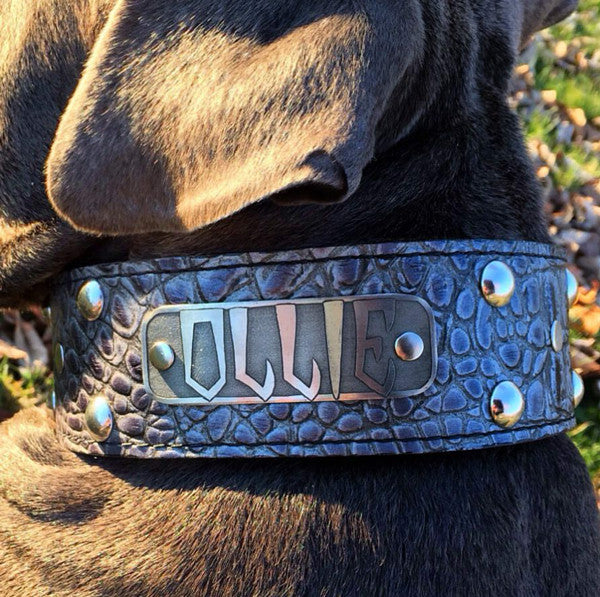 Leather Dog Collar, Personalized Name Plate Studded 2 Wide - N12