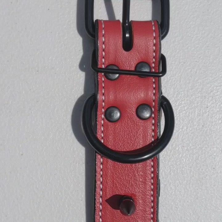 V17 - 1.5" Wide Spiked Leather Dog Collar