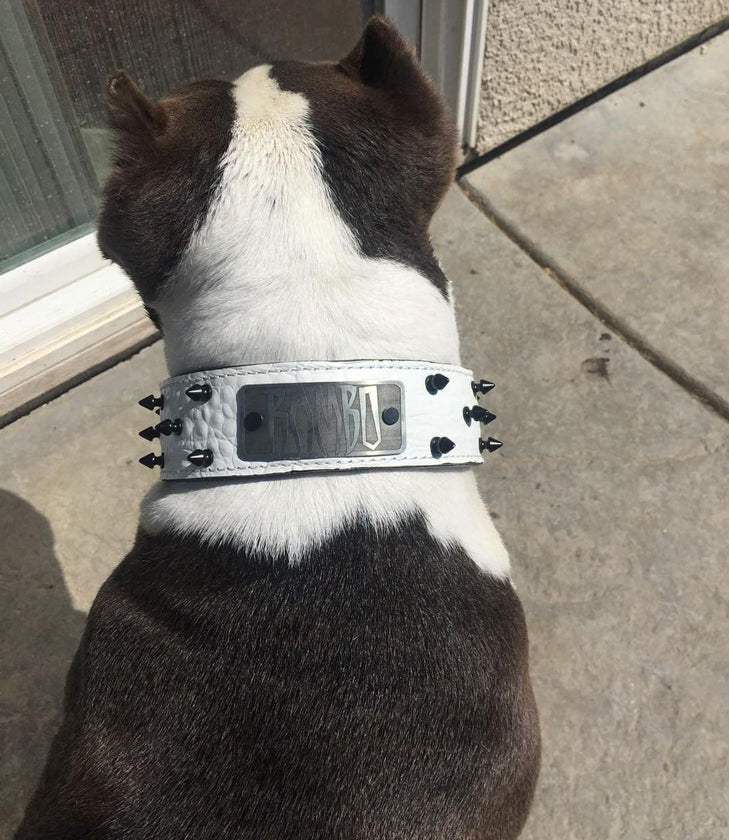 W46 - Collar para perro de cuero con pinchos de 2" con placa de identificación personalizada